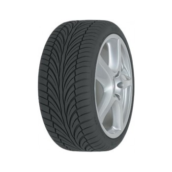 Riken Raptor ZR (275/40R17 98W)